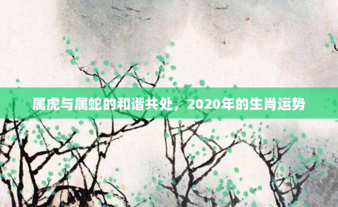 属虎与属蛇的和谐共处，2020年的生肖运势