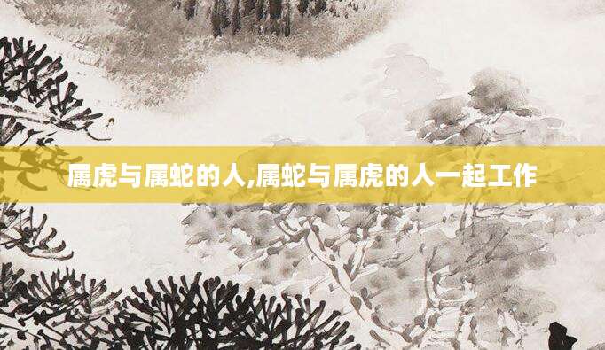属虎与属蛇的人,属蛇与属虎的人一起工作