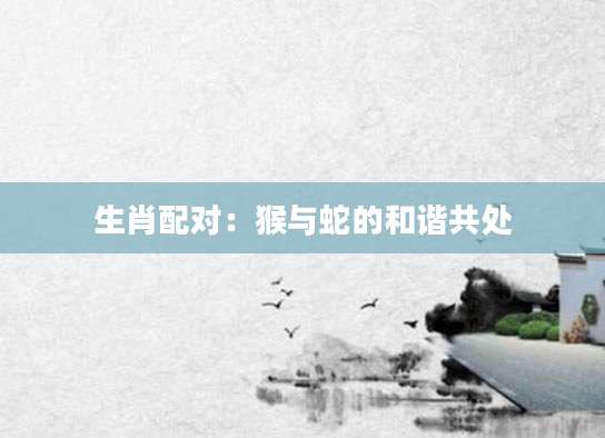 生肖配对：猴与蛇的和谐共处