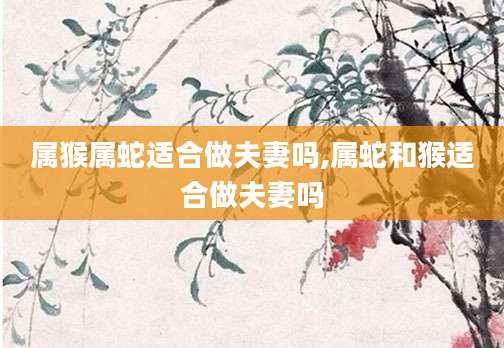 属猴属蛇适合做夫妻吗,属蛇和猴适合做夫妻吗