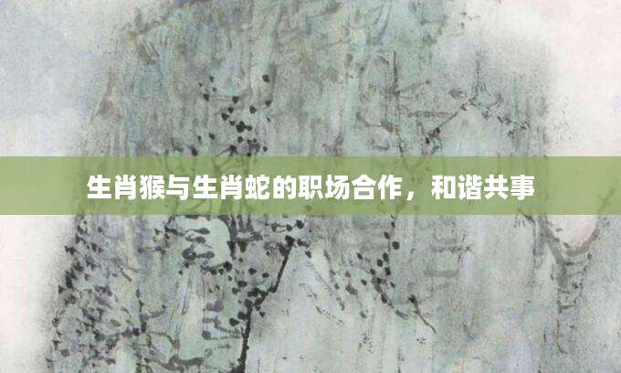 生肖猴与生肖蛇的职场合作，和谐共事