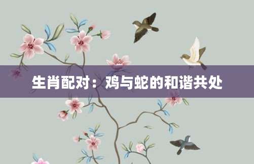 生肖配对：鸡与蛇的和谐共处