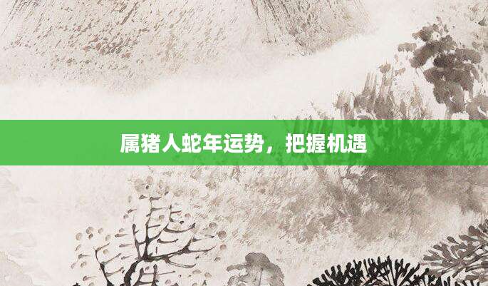 属猪人蛇年运势，把握机遇