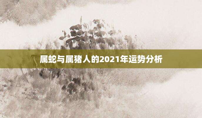 属蛇与属猪人的2021年运势分析