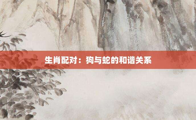 生肖配对：狗与蛇的和谐关系