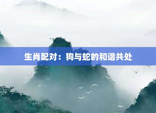 生肖配对：狗与蛇的和谐共处