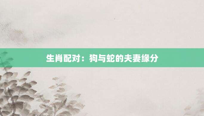 生肖配对：狗与蛇的夫妻缘分