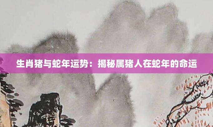 生肖猪与蛇年运势：揭秘属猪人在蛇年的命运