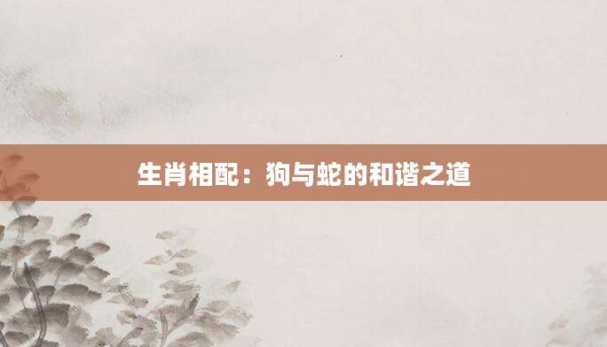生肖相配：狗与蛇的和谐之道