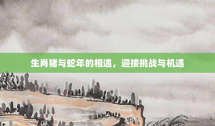 生肖猪与蛇年的相遇，迎接挑战与机遇