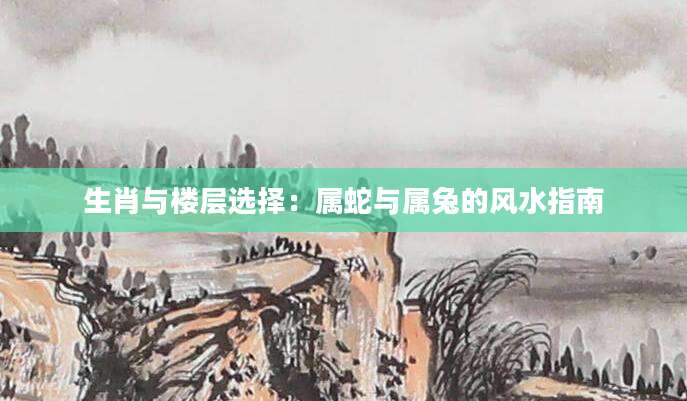 生肖与楼层选择：属蛇与属兔的风水指南
