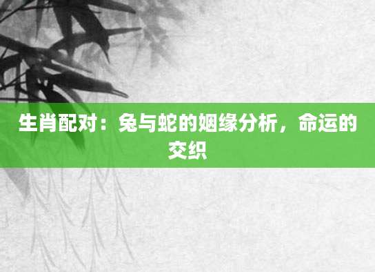 生肖配对：兔与蛇的姻缘分析，命运的交织