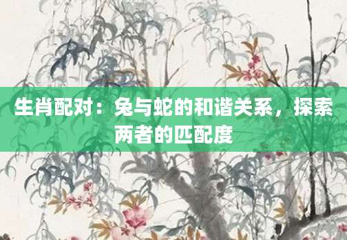 生肖配对：兔与蛇的和谐关系，探索两者的匹配度