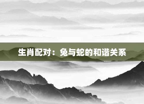 生肖配对：兔与蛇的和谐关系