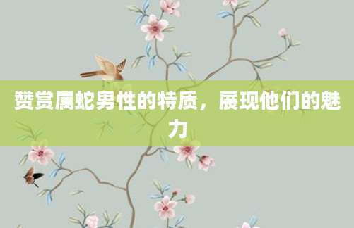 赞赏属蛇男性的特质，展现他们的魅力
