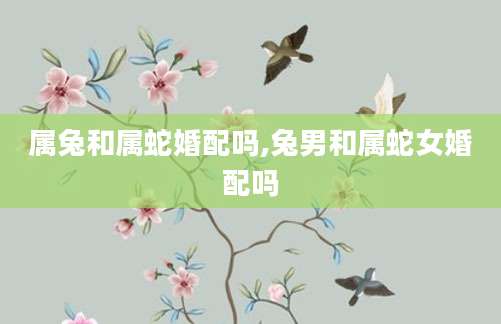 属兔和属蛇婚配吗,兔男和属蛇女婚配吗