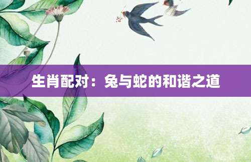 生肖配对：兔与蛇的和谐之道