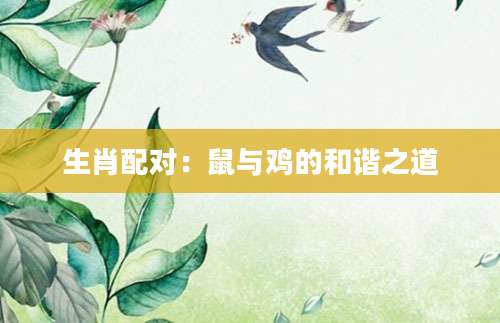 生肖配对：鼠与鸡的和谐之道