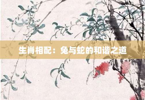 生肖相配：兔与蛇的和谐之道