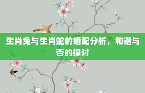生肖兔与生肖蛇的婚配分析，和谐与否的探讨