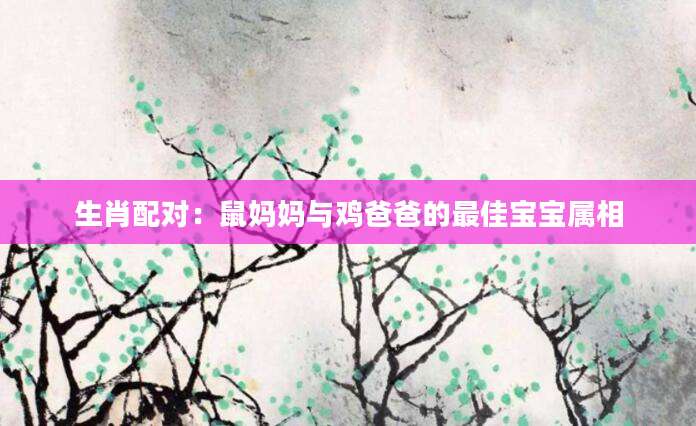 生肖配对：鼠妈妈与鸡爸爸的最佳宝宝属相
