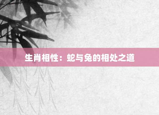 生肖相性：蛇与兔的相处之道