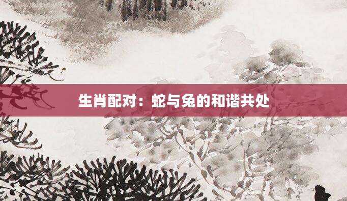 生肖配对：蛇与兔的和谐共处