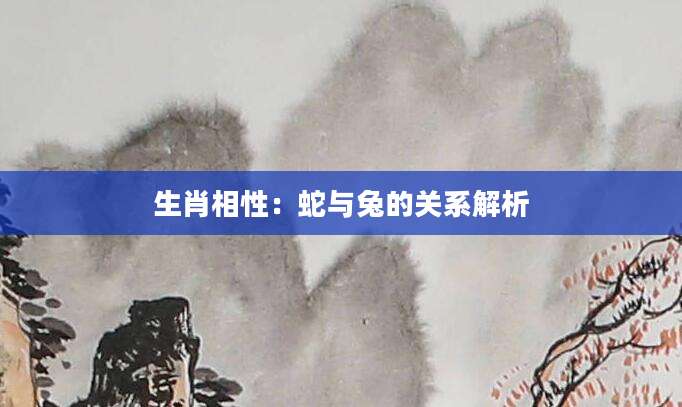 生肖相性：蛇与兔的关系解析