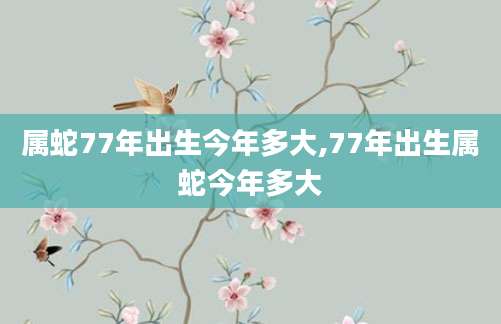 属蛇77年出生今年多大,77年出生属蛇今年多大