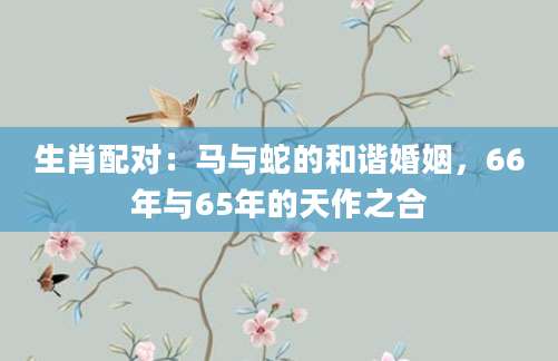 生肖配对：马与蛇的和谐婚姻，66年与65年的天作之合