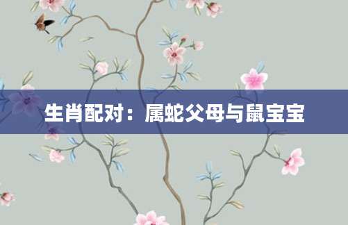 生肖配对：属蛇父母与鼠宝宝