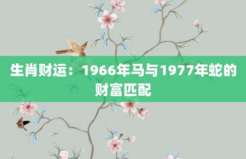 生肖财运：1966年马与1977年蛇的财富匹配