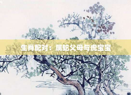 生肖配对：属蛇父母与虎宝宝