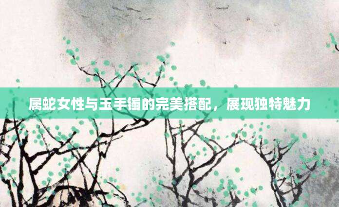 属蛇女性与玉手镯的完美搭配，展现独特魅力