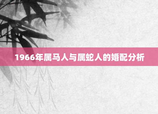 1966年属马人与属蛇人的婚配分析