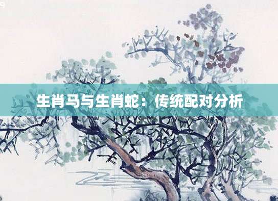 生肖马与生肖蛇：传统配对分析