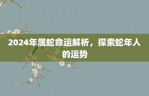 2024年属蛇命运解析，探索蛇年人的运势