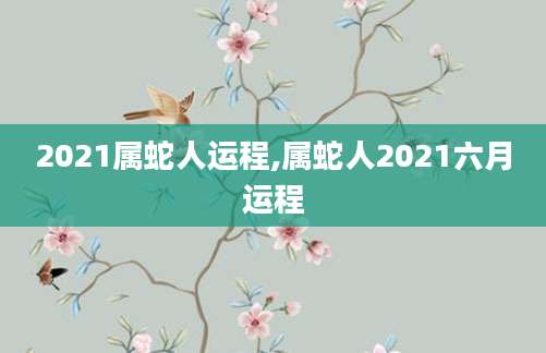 2021属蛇人运程,属蛇人2021六月运程