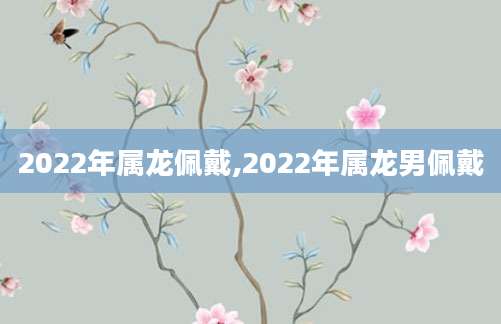2022年属龙佩戴,2022年属龙男佩戴