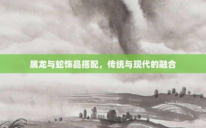属龙与蛇饰品搭配，传统与现代的融合