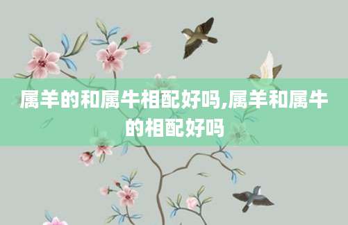 属羊的和属牛相配好吗,属羊和属牛的相配好吗